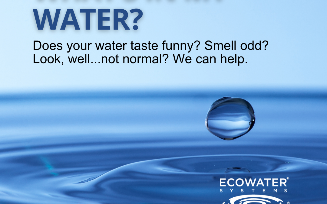 What’s In My Water