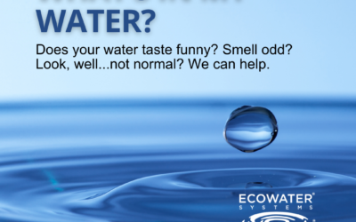 What’s In My Water